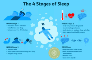 4 Stages of Sleep