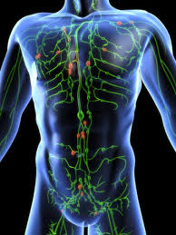 20 ways to cleanse the lymphatic system 